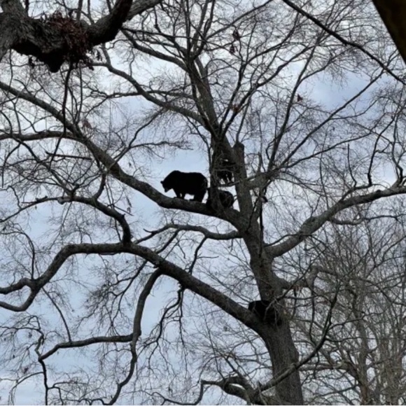 MEET THE POSHERS - Picture 15 of 16